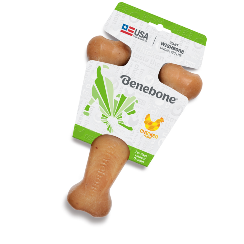 Hueso Benebone Forma de Y - Sabor Pollo