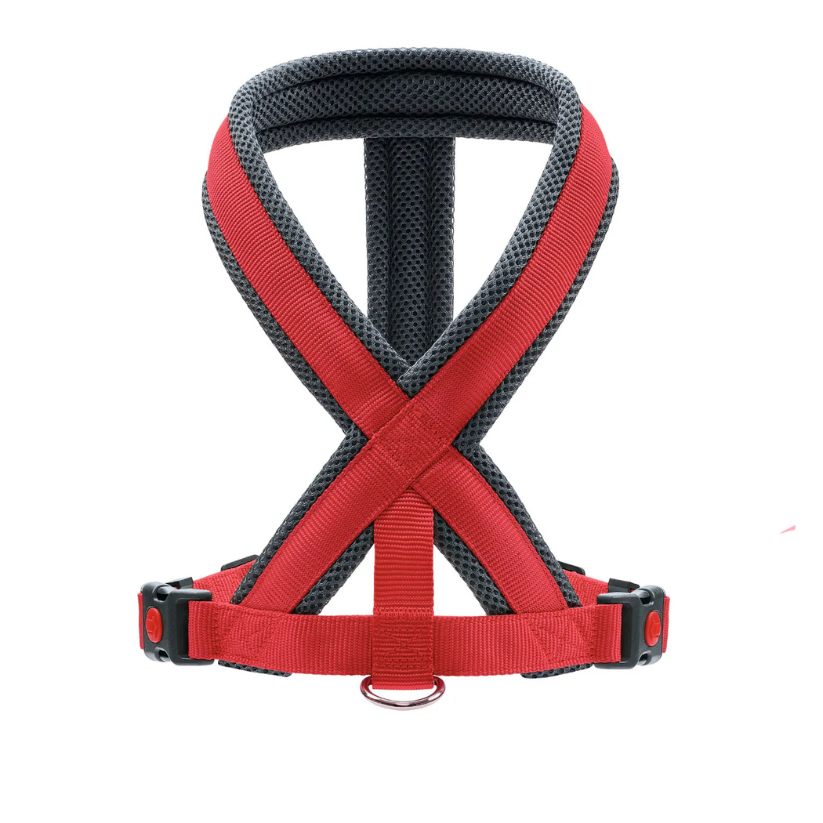 Arnes Hunter London Comfort - Roja