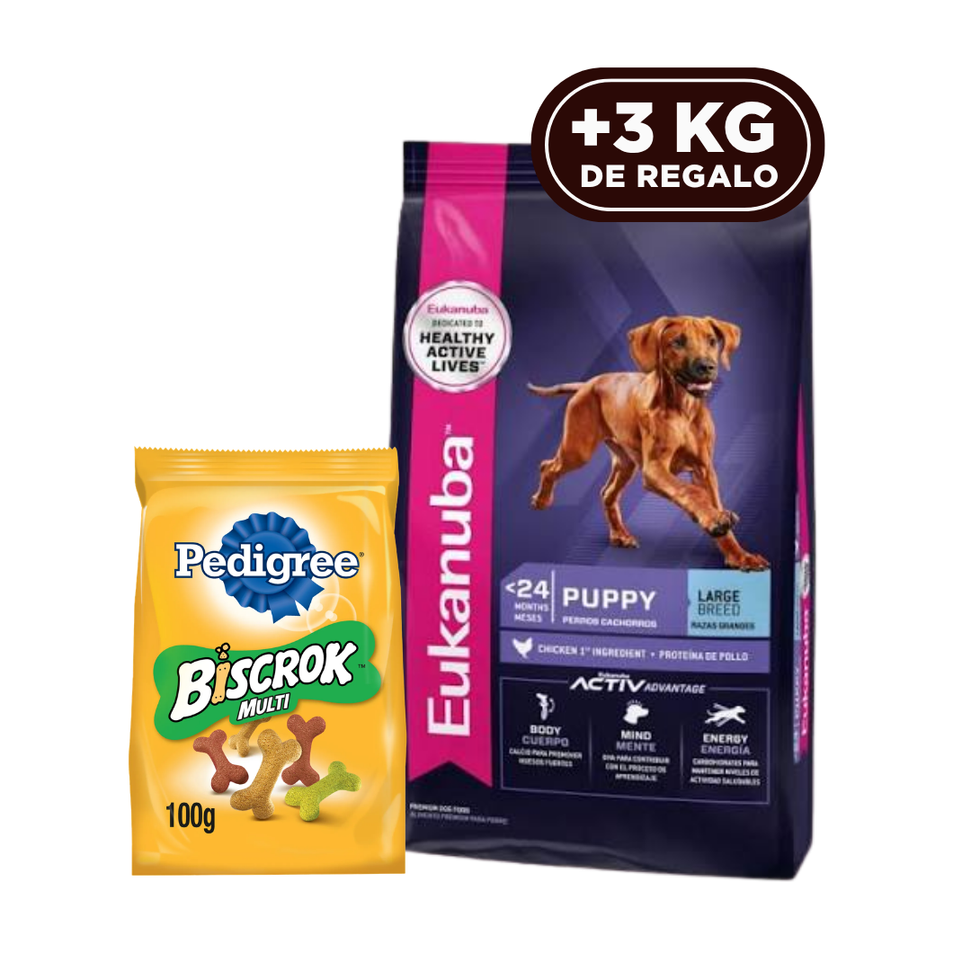 Eukanuba Perro Cachorro Raza Grande 15 kg + 3 kg + Biscrock 100 g de REGALO