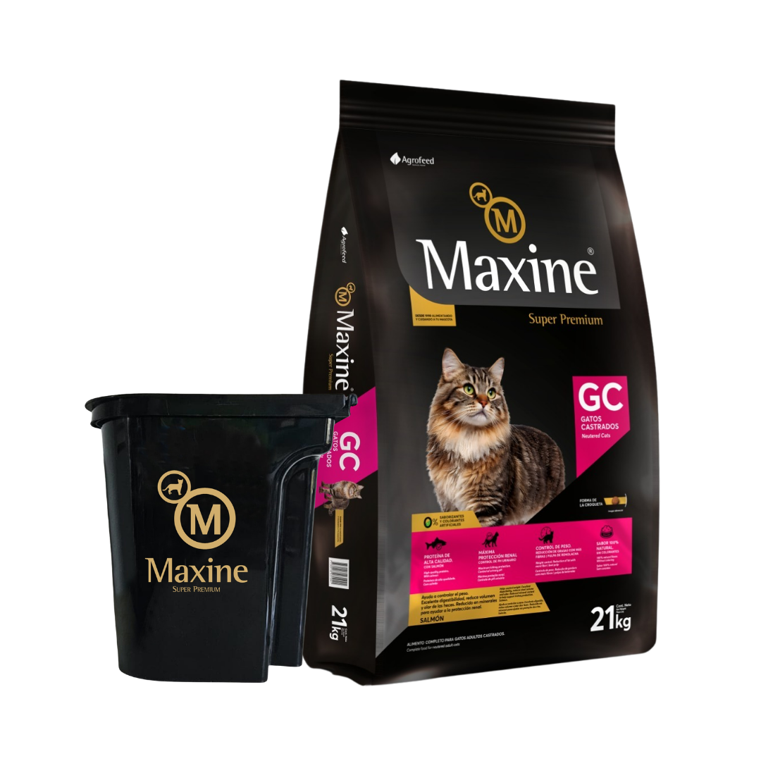 Maxine Gato Castrado 21 kg + Tacho de REGALO