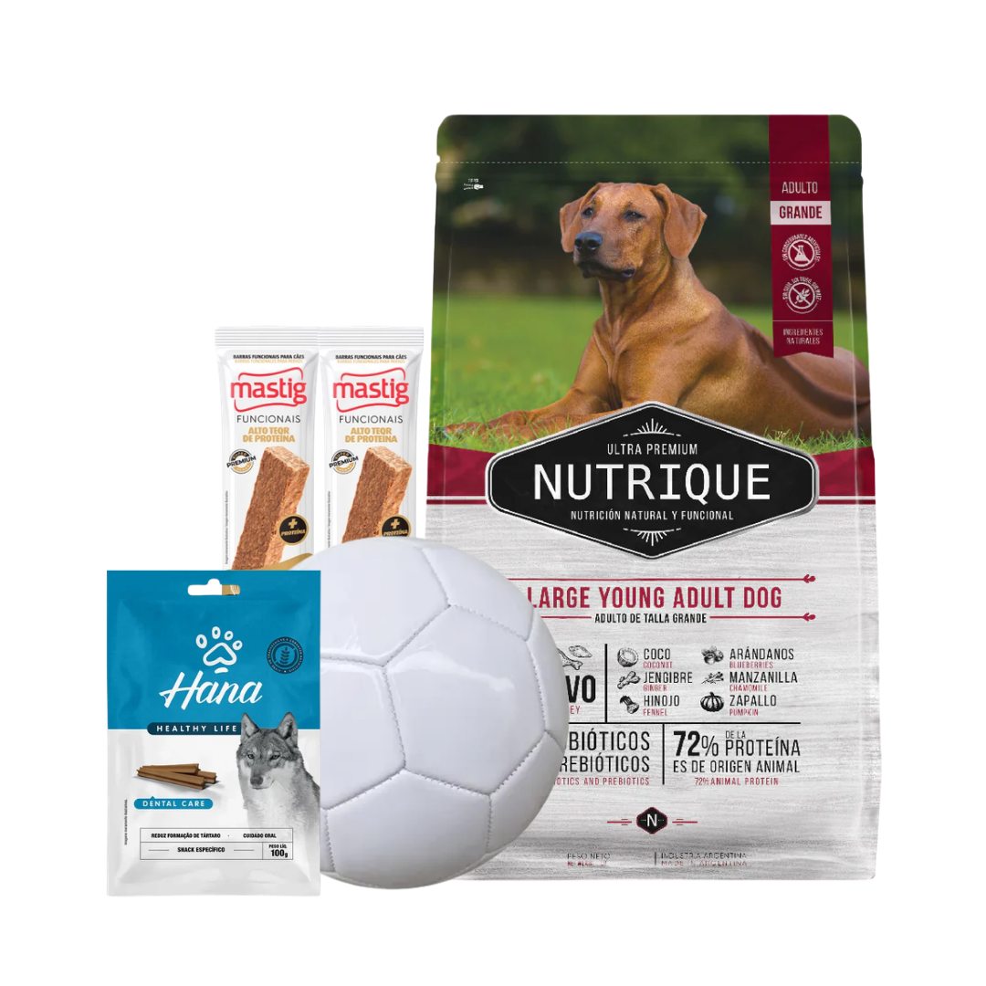 Nutrique Large Young Adult Dog 15Kg + 2 Barras Mastig + Pelota + Hana