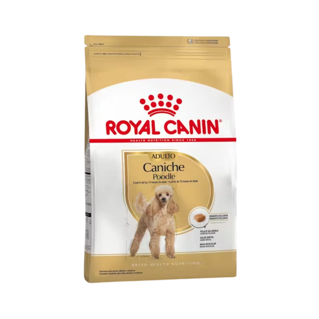 Royal Canin Poodle Adulto 3 kg