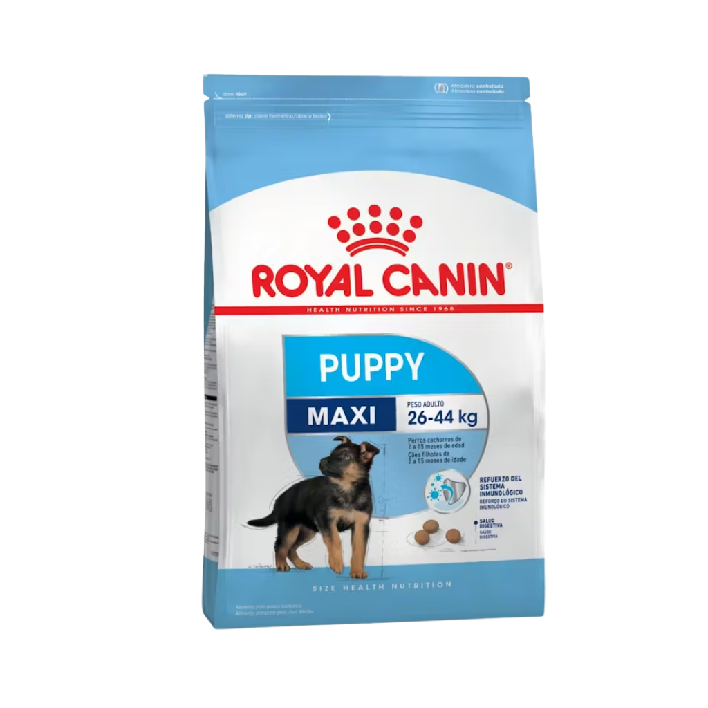 Royal Canin Perro Maxi Puppy 3 kg