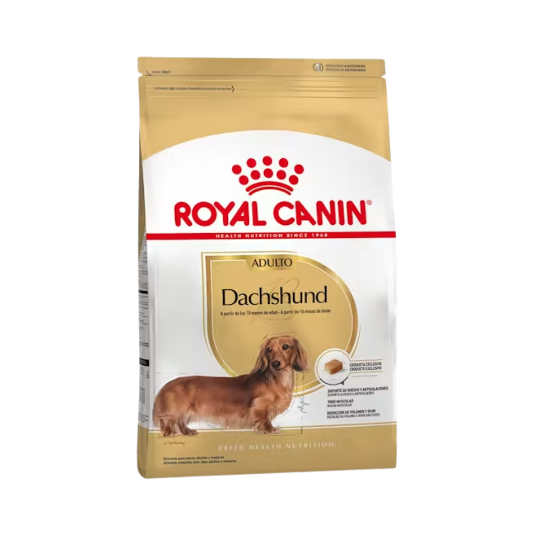 Royal Canin Perro Adulto Salchicha