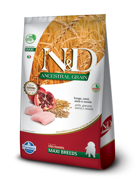 Nd Ancestral Can puppy max Perro Cachorro Razas Grandes 15kg