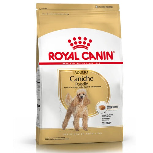 ROYAL CANIN POODLE ADULT PARA CANICHE ADULTO 3KG + Tacho Royal Canin + 3 pouch regalo