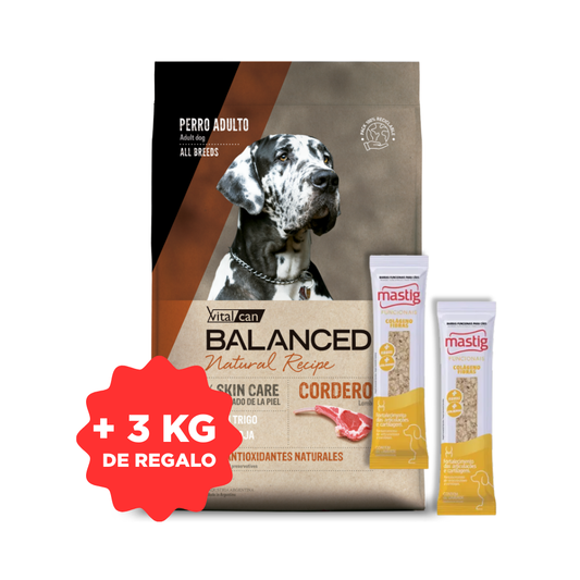 Balanced Perro Adulto Natural Recipe Sabor Cordero 15 kg + 3 kg + 2 Mastig Barra Funcional