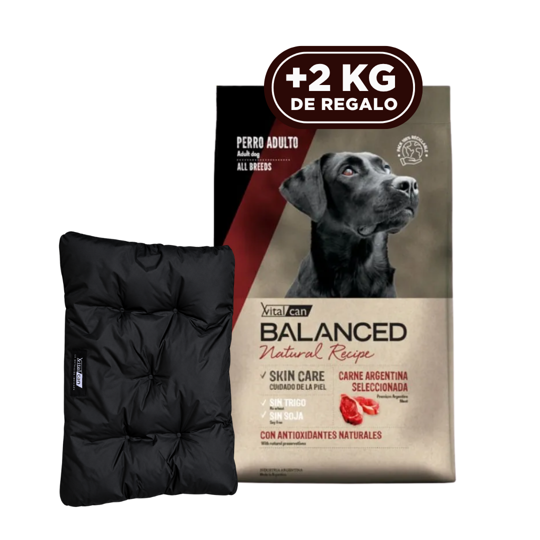Balanced Natural Recipe Perro Adulto Carne 15 kg + 3 kg + Colchoneta de REGALO