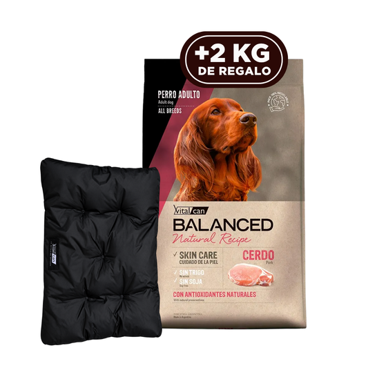 Balanced Natural Recipe Perro Adulto Cerdo 15 kg +2 kg + Colchoneta de REGALO