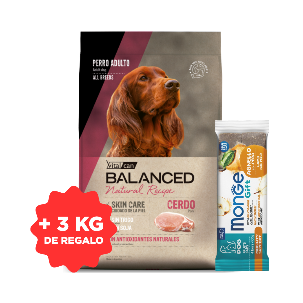 Balanced Natural Recipe Perro Cerdo 15 + 3 kg + 1 Snack De Regalo
