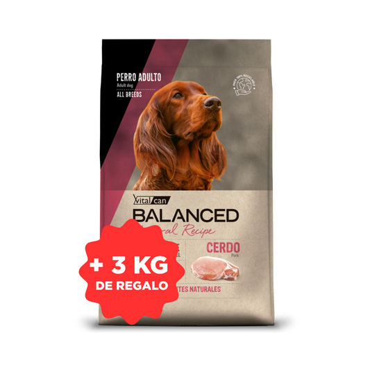 Balanced Natural Recipe Cerdo 15 kg + 3 kg