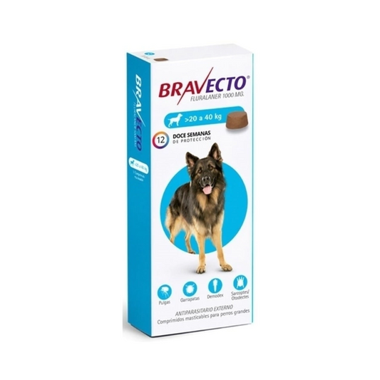 Bravecto antiparasitario para perro de 20 a 40 kg, 1 comprimido masticable
