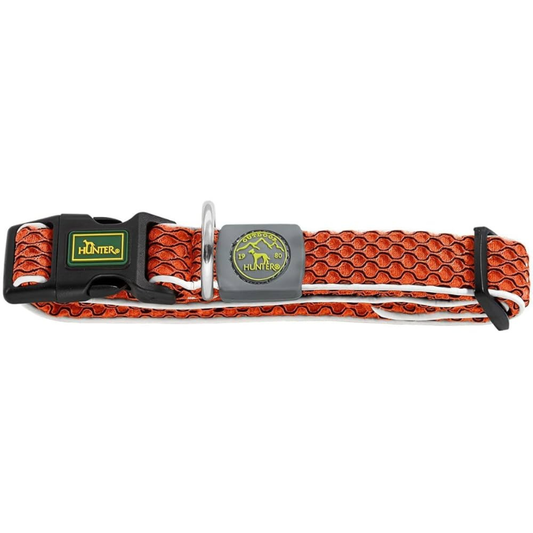 Collar Hunter Hilo VP
