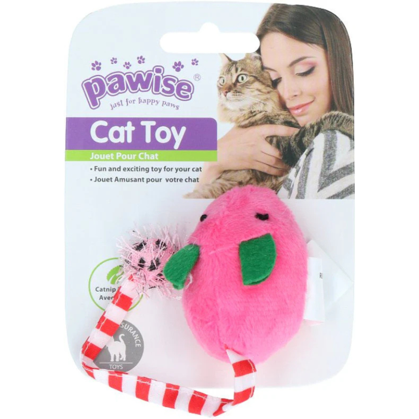 Juguete Para Gatos Pawise Cat Toy
