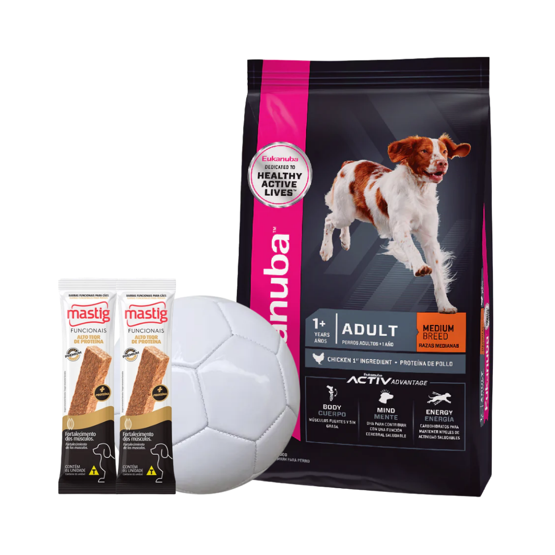 Eukanuba Adult Medium B 15 Kg + 2 Barras Mastig + Pelota