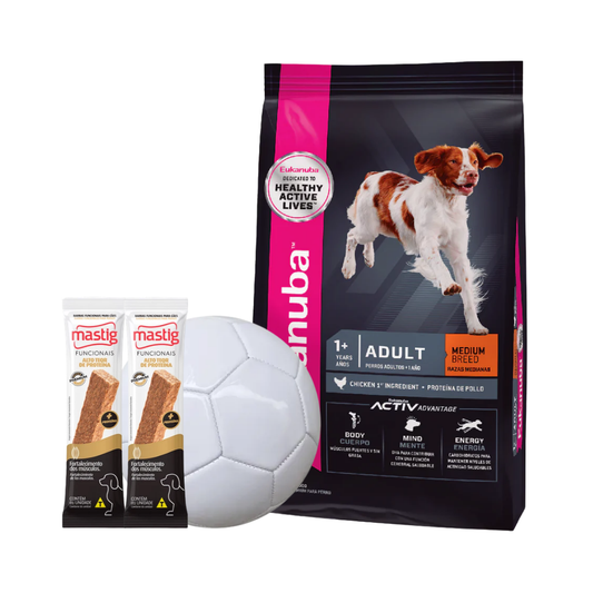 Eukanuba Adult Medium B 15 Kg + 2 Barras Mastig + Pelota