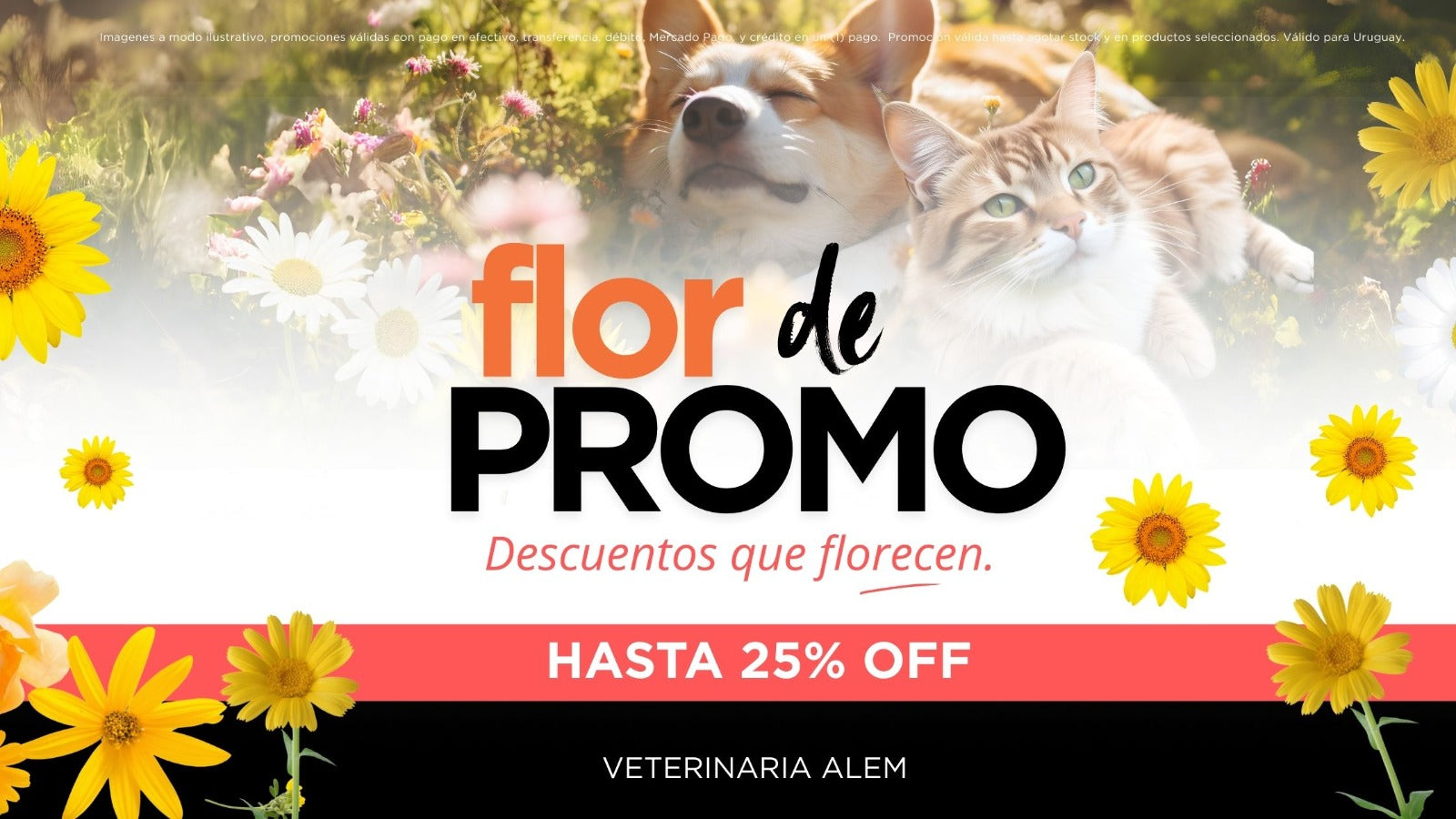 Flor de Promo - Artículos con descuento