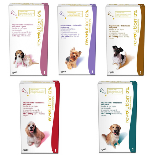 Pipeta Revolution Para Perros