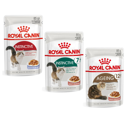 Pouch Royal Canin Para Gatos x Unidad