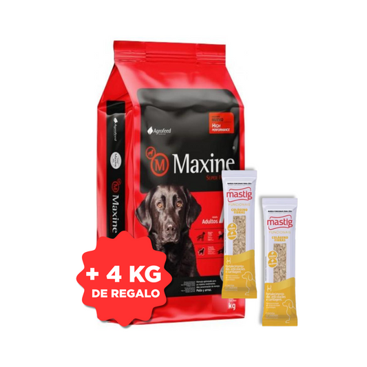 Maxine Perro Adulto 21 kg + 4 kg + 2 Barras Funcional Mastig de Regalo