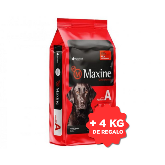 Maxine Perro Adulto 21 kg + 4 kg de Regalo