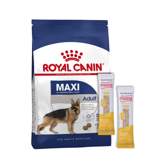Royal Canin Perro Adulto Raza Grande 15 kg + 2 Mastig Barra Funcional