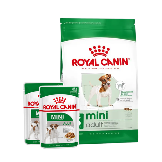 Royal Canin Mini Adult 3 kg + 2 Pouches Mini Adult 85 g de REGALO