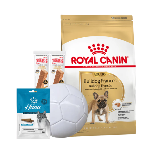 Bhn Royal Canin French Bulldog Adult 7,5Kg + 2 Barras Mastig + Pelota + Hana