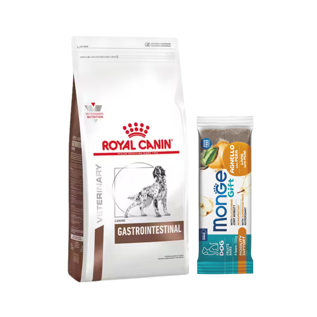 Royal Canin Gastrointestinal Perro 10 Kg + Snack de regalo!