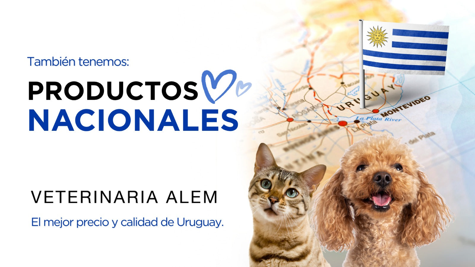 Imagen del slider